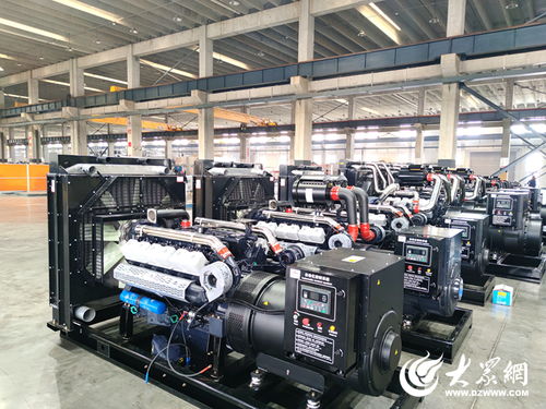 府東街點(diǎn)題，菏澤交出重點(diǎn)項(xiàng)目突破答案——生物質(zhì)成型燃料銷(xiāo)售領(lǐng)航綠色發(fā)展